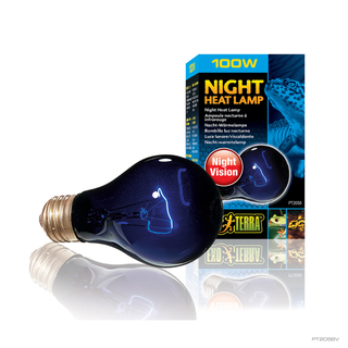 Lámpara incandescente Exo-Terra Night Glo